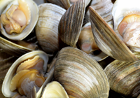 Clams-Special Clams-Special